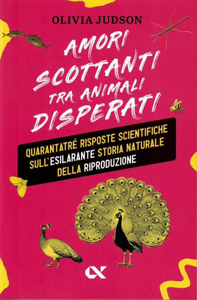 Dr Tatiana Italy 2025 edition cover